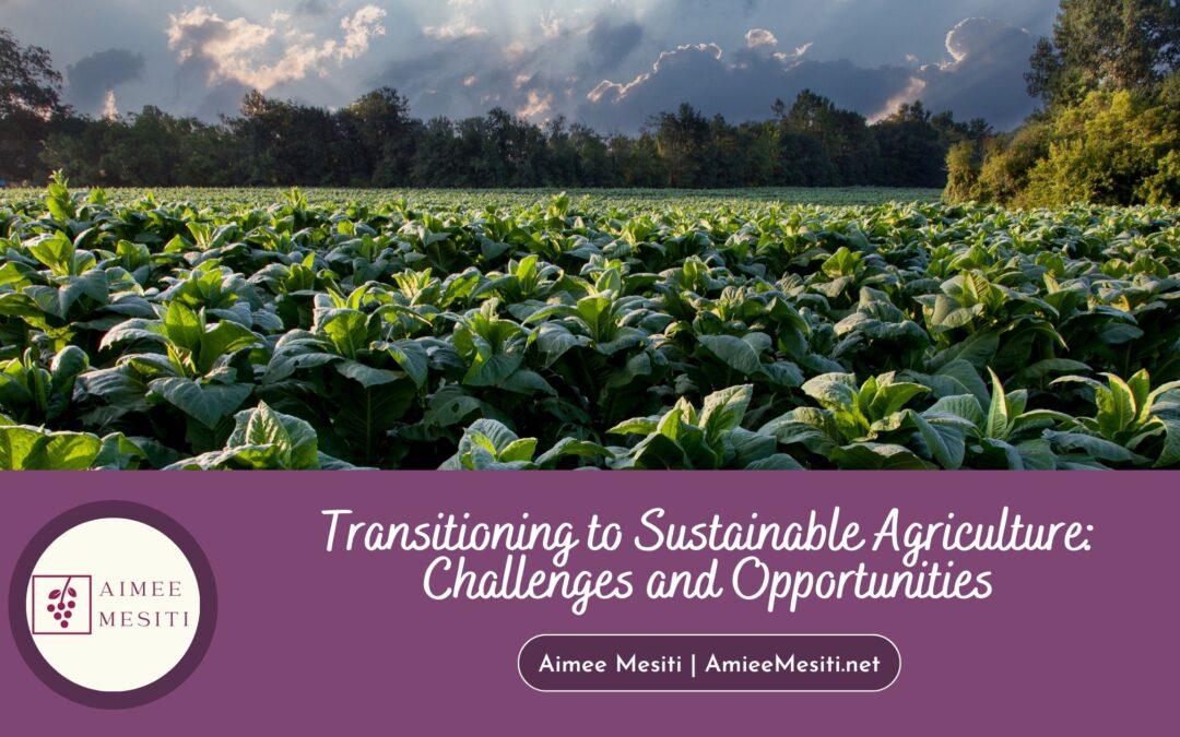 Transitioning to Sustainable Agriculture: Challenges and Opportunities